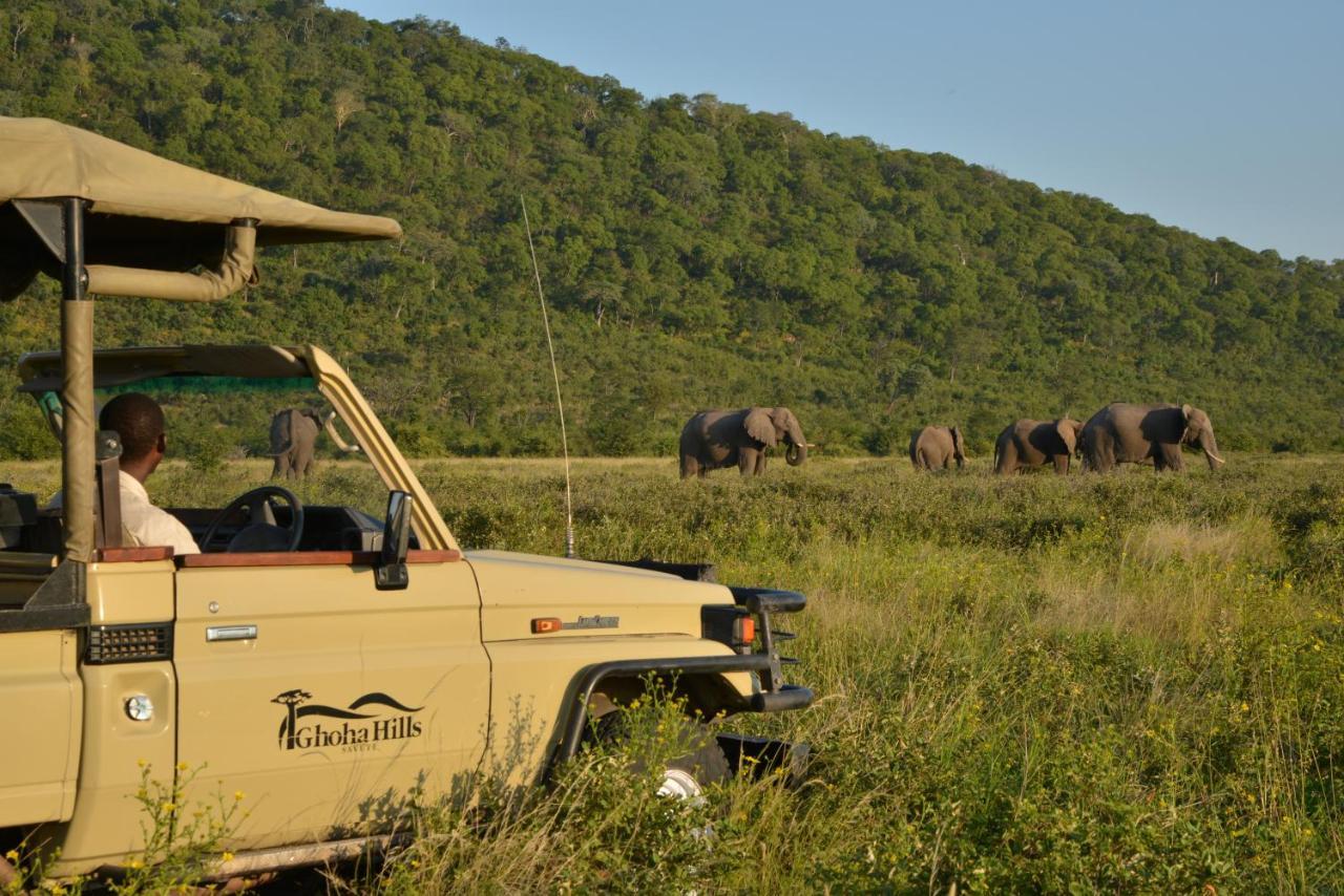 Ghoha Hills Savuti Lodge Exterior photo