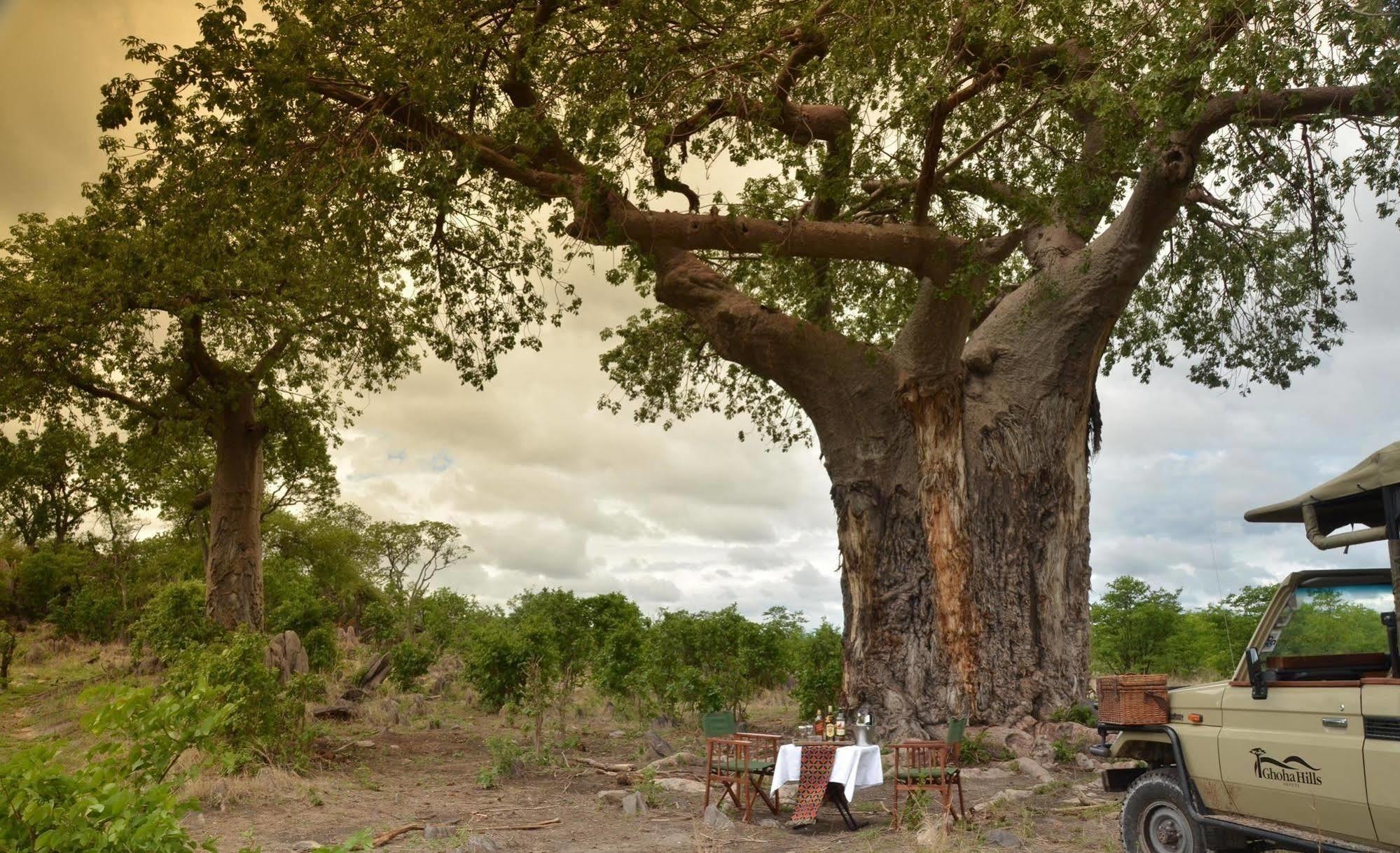 Ghoha Hills Savuti Lodge Exterior photo